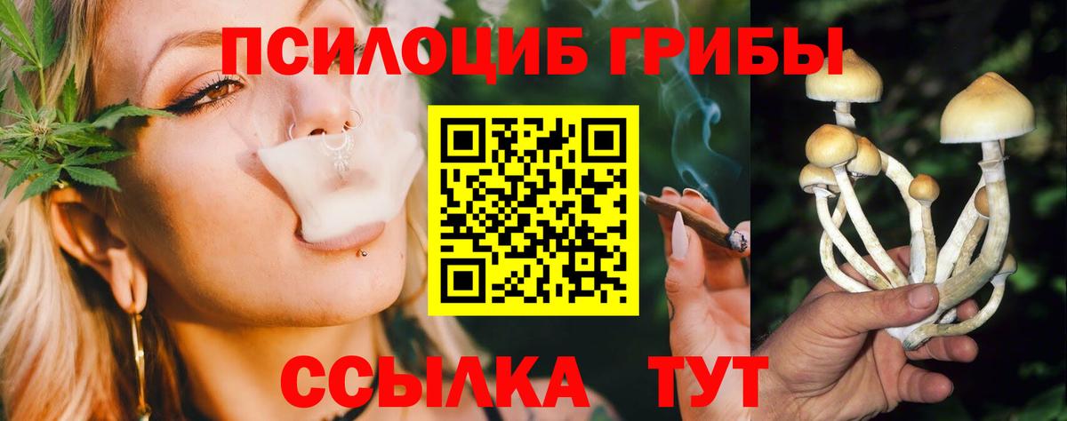 Псилоцибиновые грибы мухоморы Междуреченск